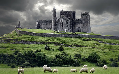 пейзаж, замък, HDR, овце, църква, руини, HD тапет HD wallpaper