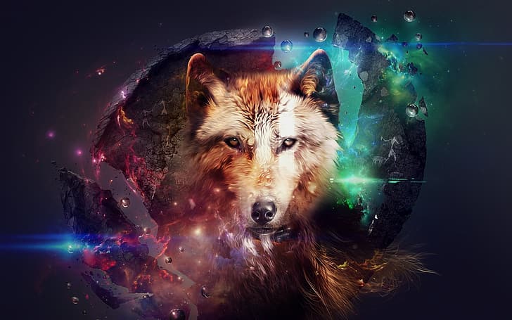 space, ball, wolves, HD wallpaper