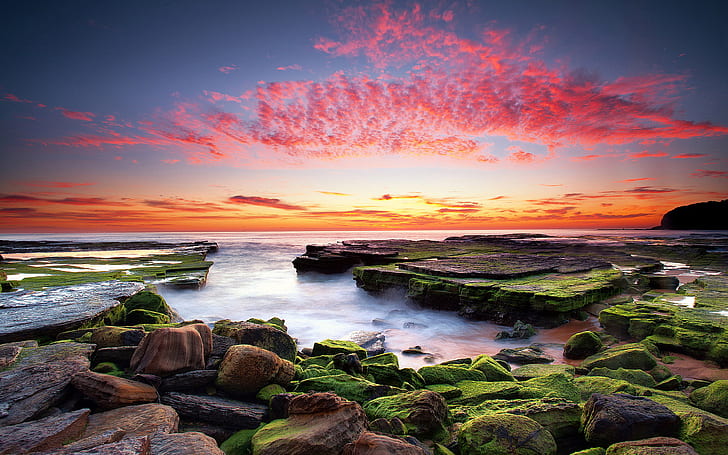ساحل غروب الشمس في أستراليا ، أمواج الصخور مع الطحلب الأخضر ، السماء ، الغيوم الحمراء ، الأفق ، خلفية عالية الدقة لأجهزة الكمبيوتر المحمول والكمبيوتر اللوحي 2560 × 1600، خلفية HD