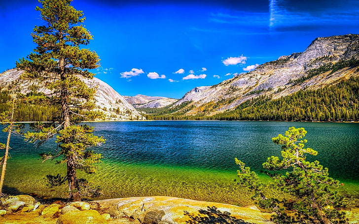 trees and mountain, nature, landscape, lake, mountains, forest, summer, trees, blue, sky, Yosemite National Park, California, HD wallpaper