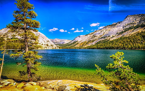 alberi e montagna, natura, paesaggio, lago, montagne, foresta, estate, alberi, blu, cielo, Parco nazionale Yosemite, California, Sfondo HD HD wallpaper