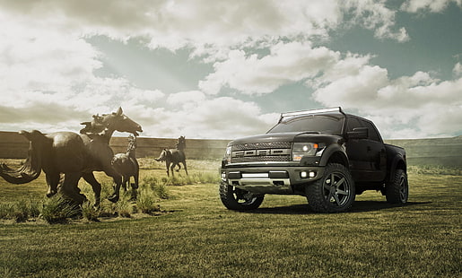 черен Ford Ranger Raptor, поле, небето, черен, Ford, кон, Raptor, F-150, HD тапет HD wallpaper