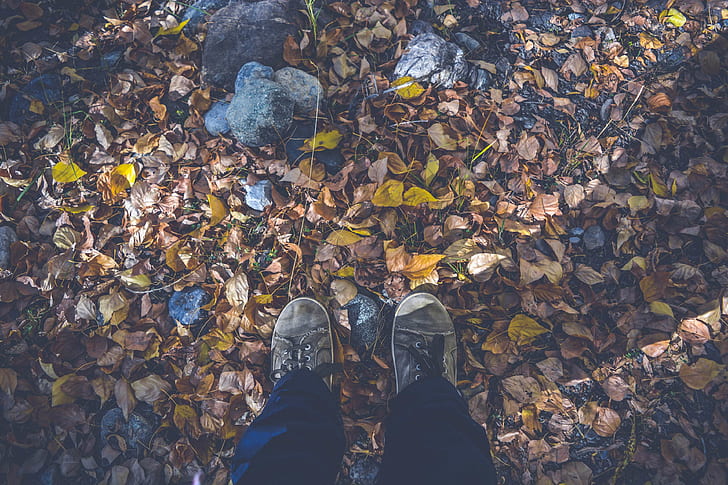 otoño, hojas de otoño, hojas secas, otoño, pies, bosque, tierra, naturaleza, al aire libre, zapatos, Fondo de pantalla HD