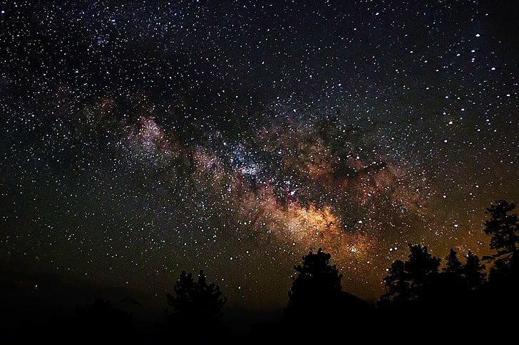 خلفية مجرة ​​رقمية ، فضاء ، نجوم ، أشجار ، ليل ، ظلال ، درب التبانة، خلفية HD