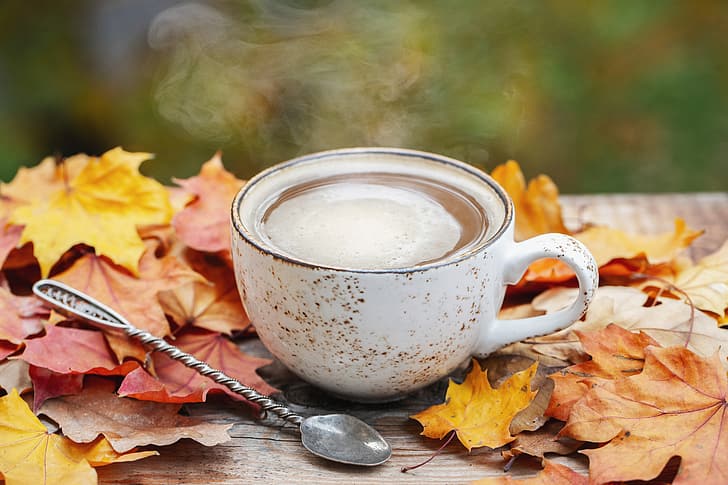 musim gugur, daun, kayu, cangkir kopi, secangkir kopi, Wallpaper HD