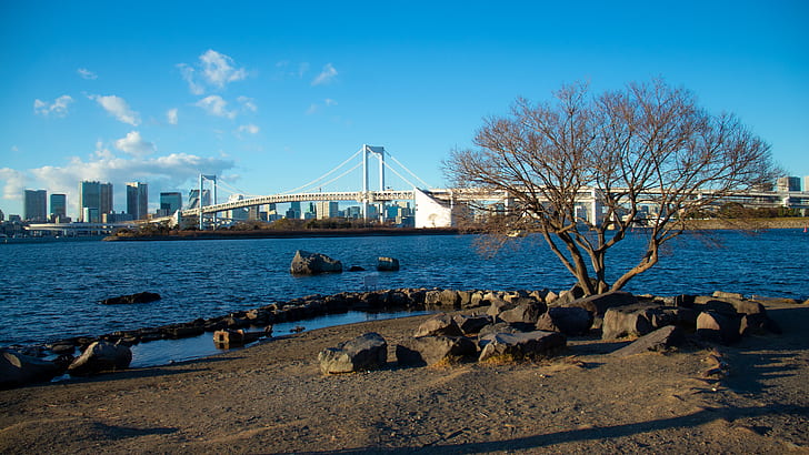 Japan, odaiba, Rainbow Bridge, beach, rocks, trees, Tokyo, HD wallpaper