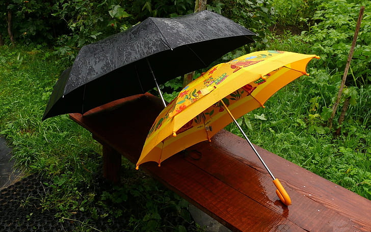 우산 HD, 사진, 우산, HD 배경 화면