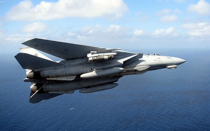 Военно-морской флот США F14 кот самолет HD Wallpaper, HD обои