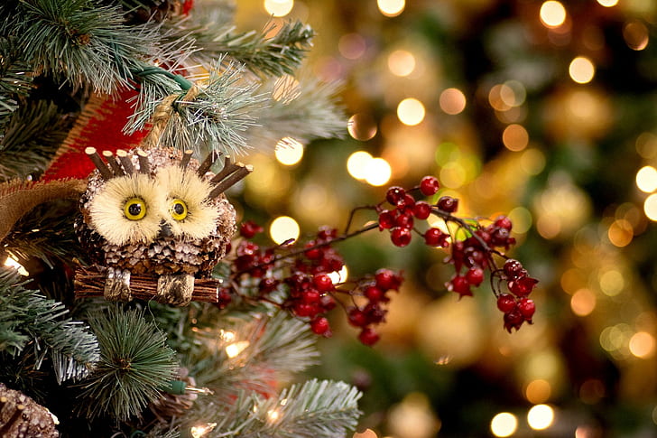 New Year toys, tree, spruce, toys, Christmas, New Years, owl, holly, Berries, Red, decoration, Holiday, New Year, winter, HD wallpaper