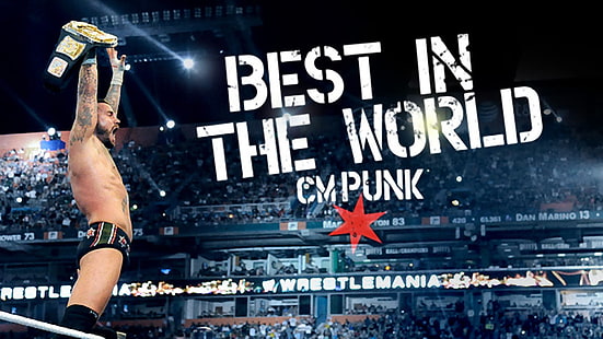 wrestling, WWE, CM Punk, Sfondo HD HD wallpaper