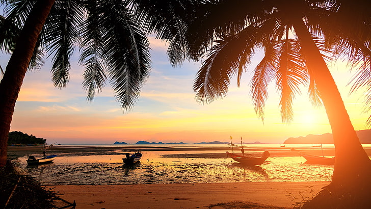 bateaux, soir, coucher de soleil, palmiers, paume, rive, eau, arbre, soleil, lumière du soleil, ko tao, golfe de thaïlande, horizon, ko tau, mer, tropiques, arecales, palmier, thaïlande, ciel, Fond d'écran HD