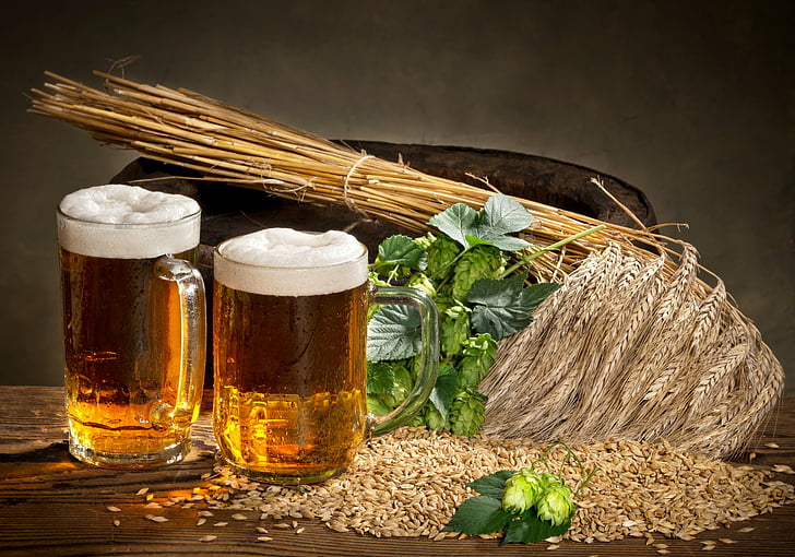 Храна, бира, стъкло, натюрморт, пшеница, HD тапет