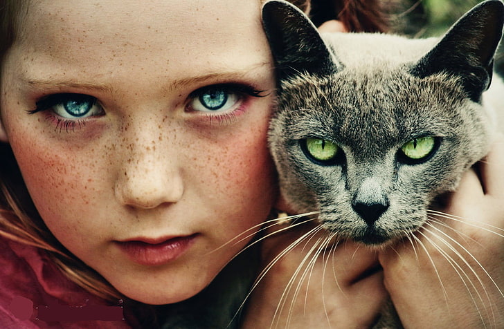 портрет, очи, деца, котка, приятелство, животни, HD тапет