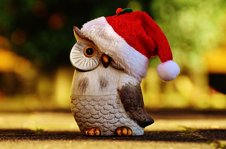 owl wearing santa hat wallpaper, owl, hat, santa claus, figurine, HD wallpaper