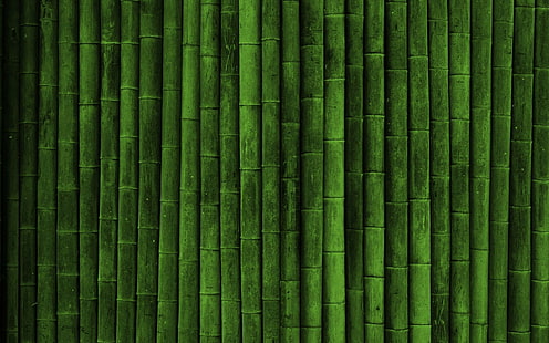 الكثير الخيزران ، واقعية ، الخيزران ، الأخضر، خلفية HD HD wallpaper