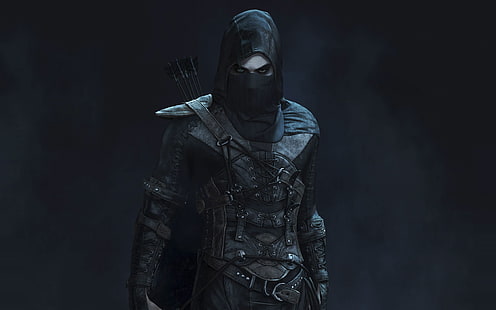 uomo che indossa una maschera, personaggi dei videogiochi, ladro, videogiochi, Sfondo HD HD wallpaper