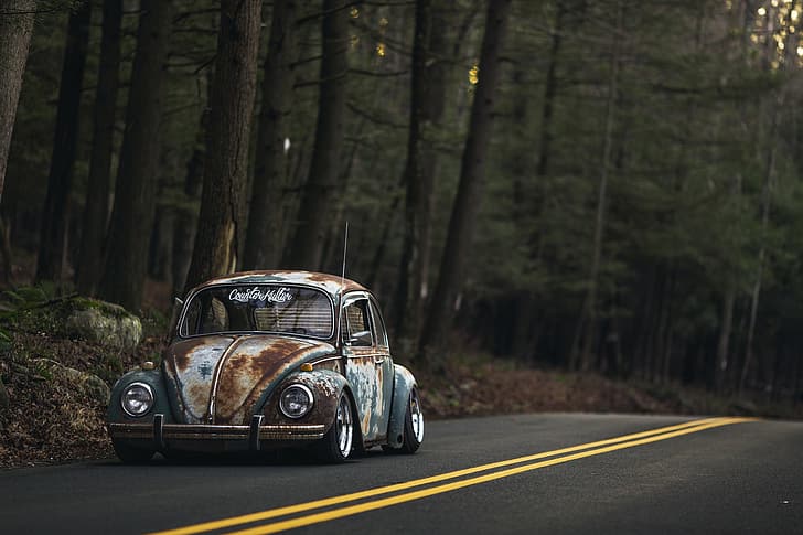 Volkswagen, Viejo, Escarabajo, Carretera, Bosque, Oxidado, Fondo de pantalla HD