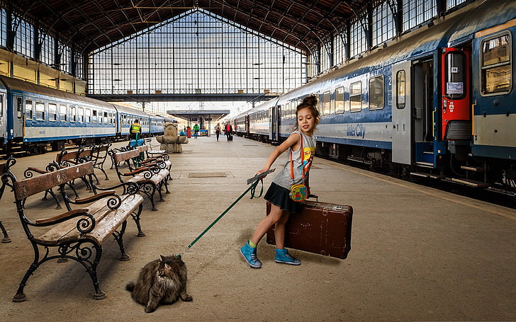 girl's gray tank top, cat, train, cars, the platform, girl, suitcase, HD wallpaper