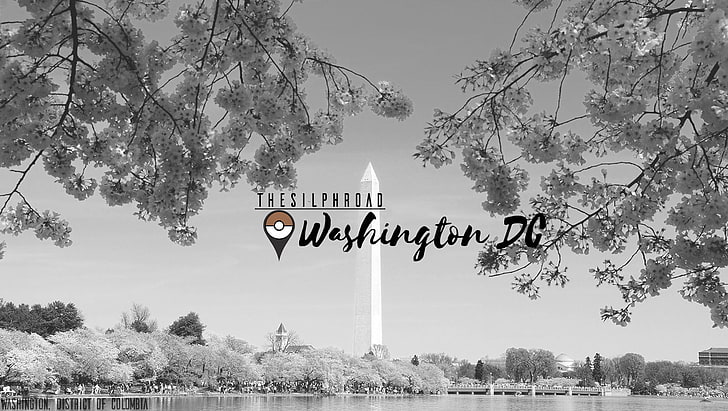 The Silph Road, Вашингтон, DC, Паметник на Вашингтон, Покемон, HD тапет