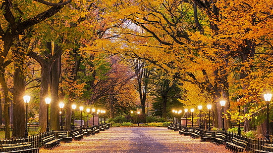 Feito Pelo Homem, Central Park, Outono, Poste De Luz, Luz, Nova York, Parque, HD papel de parede HD wallpaper