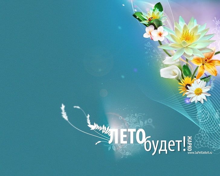 white and yellow flowers with text overlay, summer, line, flowers, promises, network, hope, text, HD wallpaper