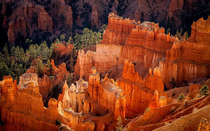 EUA, Utah, Parque Nacional, Bryce Canyon, rochas, manhã, paisagem de formação rochosa marrom, EUA, Utah, Nacional, Parque, Bryce, Canyon, rochas, manhã, HD papel de parede