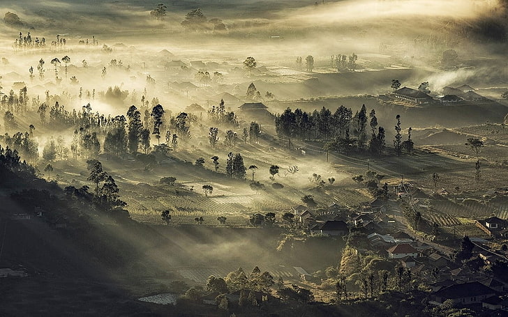 видеоигра цифровые обои, природа, пейзаж, туман, Индонезия, долина, деревня, поле, деревья, HD обои