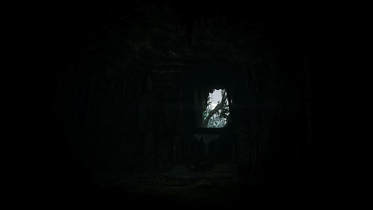 svartvit blommig textil, The Witcher 3: Wild Hunt, videospel, HD tapet