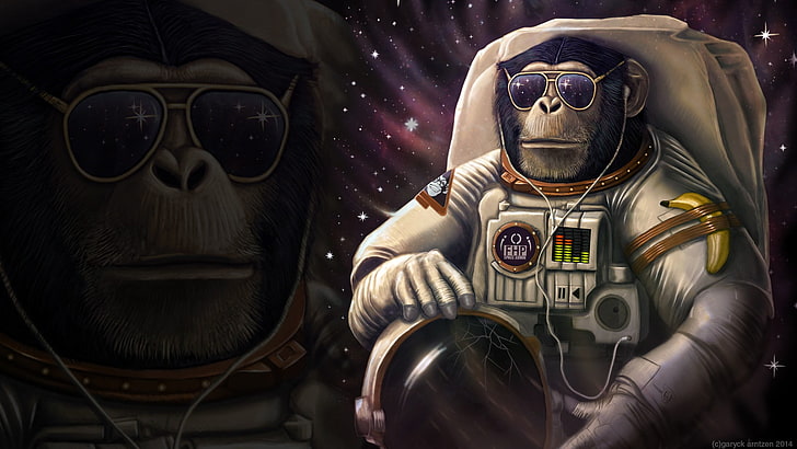 astronauta małpa tapeta, małpa, przestrzeń, Tapety HD