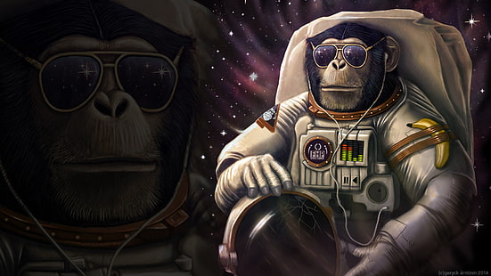 астронавт обезьяна обои, обезьяна, космос, HD обои HD wallpaper