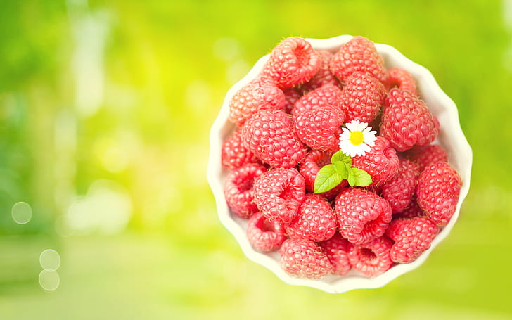Raspberries HD, photography, raspberries, HD wallpaper
