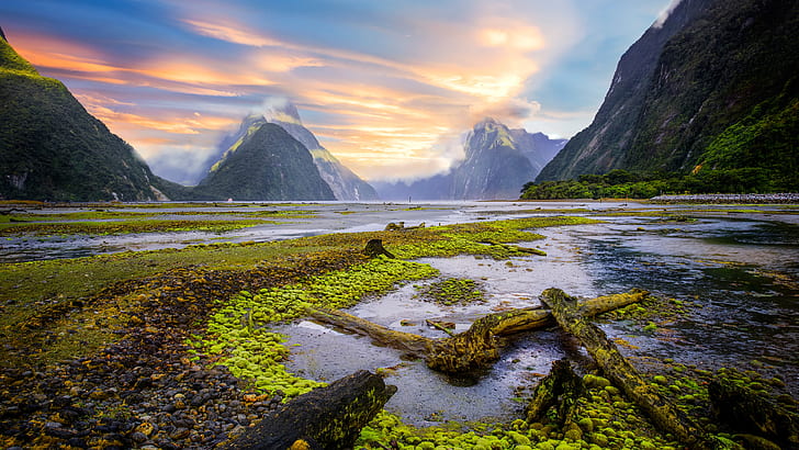 Milford Sound, région sauvage, Parc national du Fiordland, montagne, montagnes, matin, Nouvelle-Zélande, parc national, paysage, Fond d'écran HD