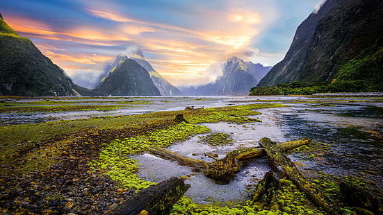Milford Sound, région sauvage, Parc national du Fiordland, montagne, montagnes, matin, Nouvelle-Zélande, parc national, paysage, Fond d'écran HD HD wallpaper