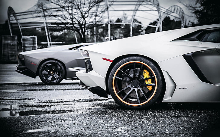 бели и сиви луксозни автомобили, Lamborghini, превозно средство, кола, HD тапет