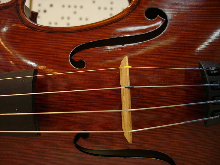 brown and black wooden violin, Music, Violin, HD wallpaper