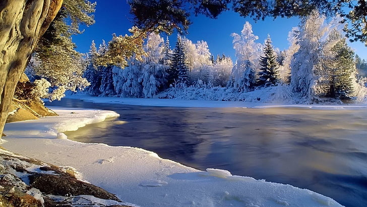 is, flod, skog, vinter, snö, rimfrost, isig, kust, kall, frost, landskap, HD tapet