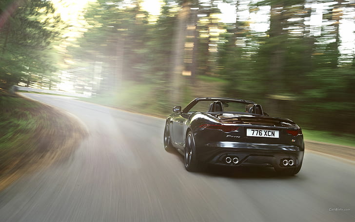 Jaguar F-Type Motion Blur Road Forest Trees HD, รถยนต์, ต้นไม้, ป่า, เบลอ, การเคลื่อนไหว, ถนน, จากัวร์, f, ประเภท, วอลล์เปเปอร์ HD