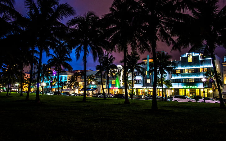 フロリダ、マイアミ、夜、 HDデスクトップの壁紙