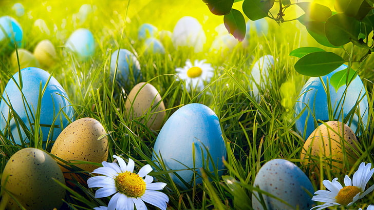 Великден, трева, великденски яйца, слънчеви лъчи, честит Великден, пролет, HD тапет