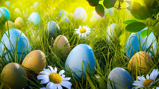 easter, grass, easter eggs, sunray, happy easter day, spring, HD wallpaper HD wallpaper