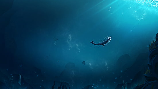 wieloryb, ocean, podwodny świat, pęcherzyki powietrza, dno, promienie światła, Tapety HD HD wallpaper