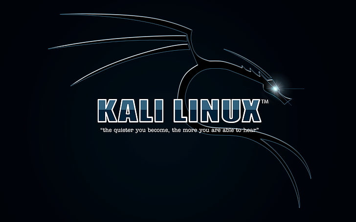 Kali Linux, HD wallpaper