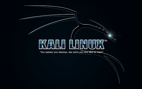Kali Linux, HD wallpaper HD wallpaper