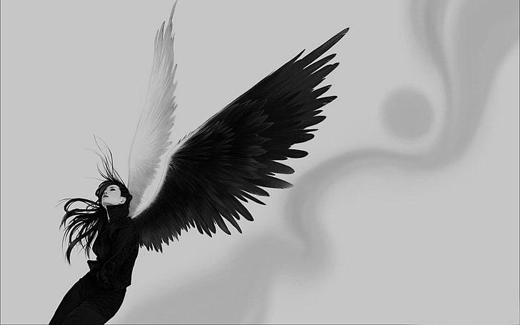 женщина с черными крыльями иллюстрация, ангел, крылья, белый, черный, девушка, HD обои