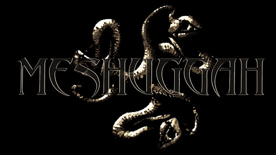 Band (Musik), Meshuggah, Death Metal, Heavy Metal, HD-Hintergrundbild HD wallpaper