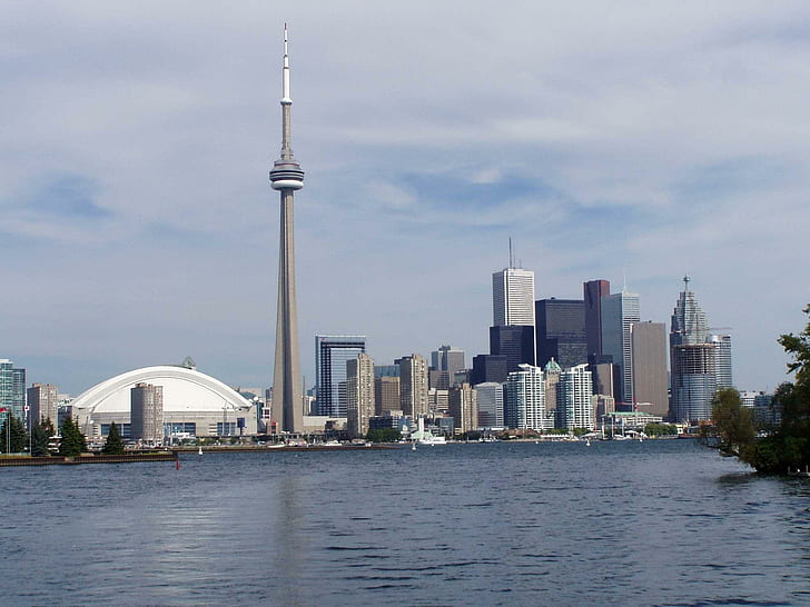 Торонто Skyline, вода, банка, Торонто, силует, Канада, сгради, град, животни, HD тапет
