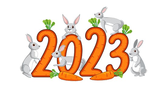 2023 (År), kaniner, morötter, HD tapet HD wallpaper