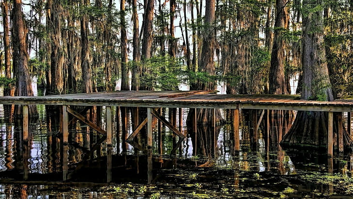 Dock Reflections In The Bayou, trees, reflections, bayou, swamp, dock, nature and landscapes, HD wallpaper
