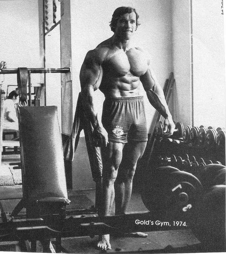 Arnold Schwarzenegger, Arnold Schwarzenegger, bodybuilding, Bodybuilder, skivstång, hantlar, gym, mager, tränar, HD tapet, telefon tapet