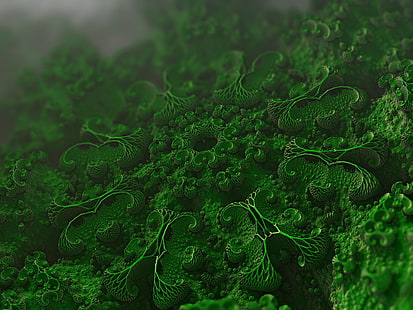 microorganisms, cells, microscopic, microbiology, bacteria, HD wallpaper HD wallpaper